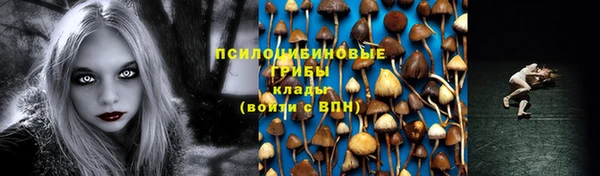 соль курить ск Арсеньев